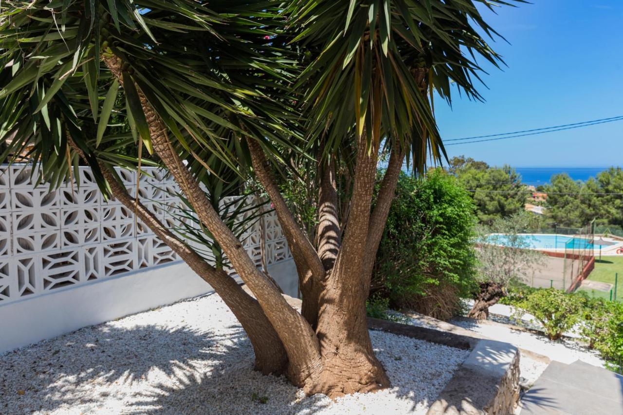 Villa Siesta Дения Экстерьер фото